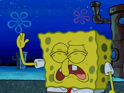 season 6 gullible pants GIF by SpongeBob SquarePants