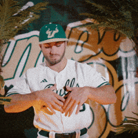 South Florida Baseball GIF by USF Athletics