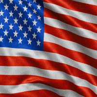 Hot Dog Pizza GIF by Magic Eden