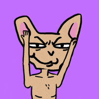 Hands Up Wow GIF