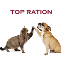 Petfood Sticker by Yappy Pets