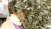 farmers market love GIF by Originals