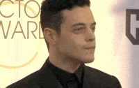 Rami Malek Sag Awards 2019 GIF by Actor Awards