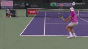 Excited Sport GIF by Tennis TV