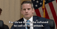 January 6 GIF by GIPHY News