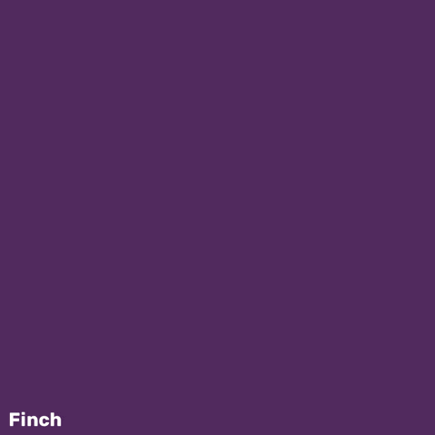 Happy Fun GIF by Finch Care