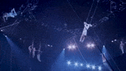 Flip Flying GIF by Ringling Bros. and Barnum & Bailey