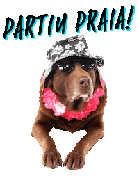 Beach Surfdog Sticker by Bono Surf Dog
