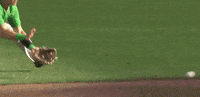Notre Dame Baseball GIF by NCAA Championships