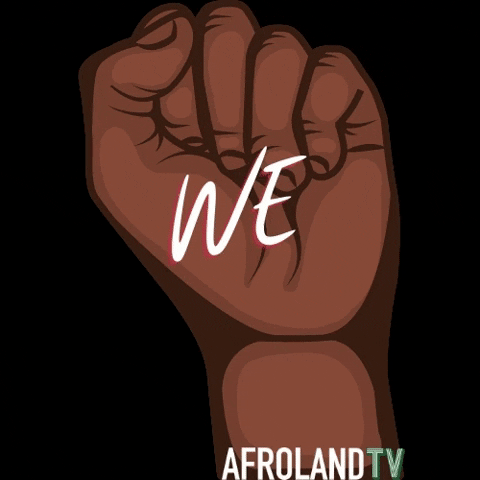 afrolandtv giphyupload GIF