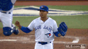mlb mlb blue jays toronto blue jays stroman GIF