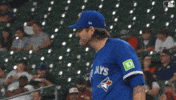Blue Jays Baseball GIF by Toronto Blue Jays