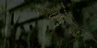 Scary Movie Christmas GIF by The Retaliators