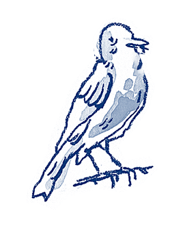 msilesdp giphyupload bird twin peaks Sticker