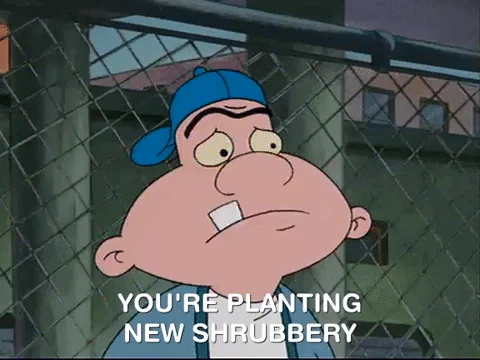 giphy.com