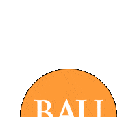 baualumnicenter bau bahcesehir mezun barc Sticker