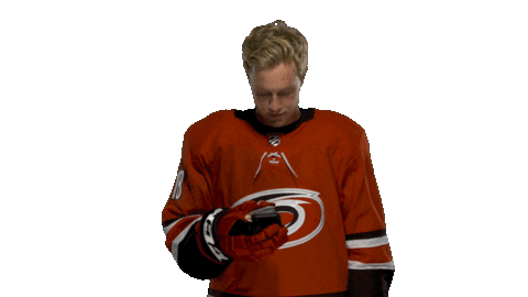 Ryan Dzingel Sticker by Carolina Hurricanes