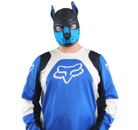 Blue Fox Love Sticker