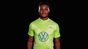 Soccer Reaction GIF by VfL Wolfsburg