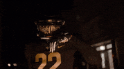 Universal Studios Football GIF by UCF Knights