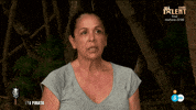 mediaset wtf mediaset telecinco supervivientes GIF