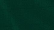 BursasporBursaspor football soccer champion spor GIF
