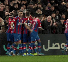 Premier League Football GIF by CPFC