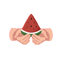 nizart_palette flag freedom watermelon nation Sticker