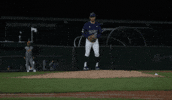 Pitch Eaters GIF by UCI Athletics