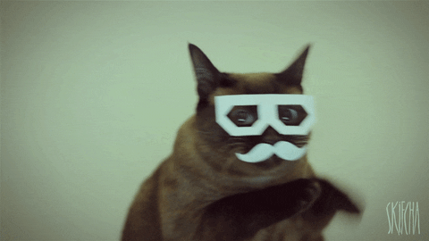 renaudleroux giphyupload GIF