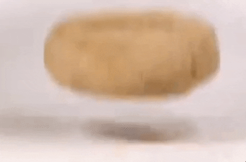 giphyupload GIF