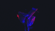 Glow Music Video GIF by Plague Vendor