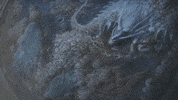 Makoto Shinkai Animation GIF by All The Anime — Anime Limited