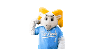 North Carolina Baseball Sticker by UNC Tar Heels