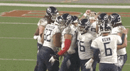 Regular Season Football GIF by NFL