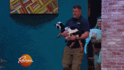 christmas eating GIF by Rachael Ray Show