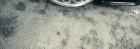 Drifting Paul Walker GIF by Jan Metternich