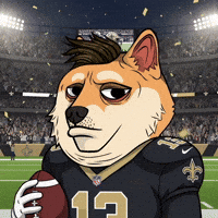New Orleans Saints Football GIF by Doge Pound