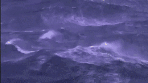 The Wave GIF by Bedouine