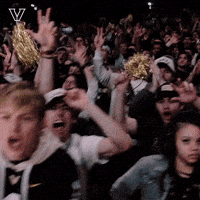 Sport Celebrate GIF by Vanderbilt Athletics