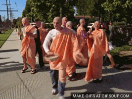 krishna GIF