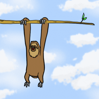 stickoscr giphyupload sloth hang in there perezoso GIF