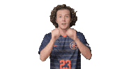 Lookout Sticker by Carson-Newman Athletics