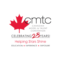 Logo Shine Sticker by CMTC