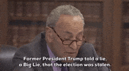 Chuck Schumer GIF by GIPHY News