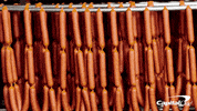dogs treats GIF by Capital One