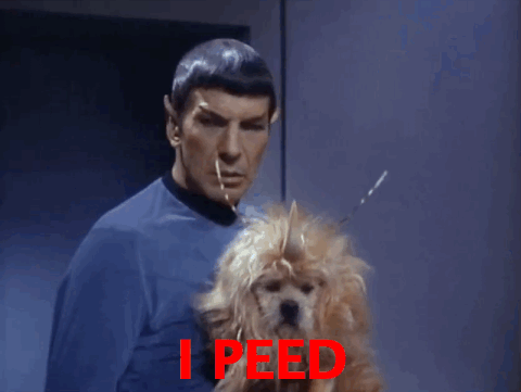 captain kirk GIF