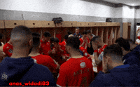 Morocco Winners GIF