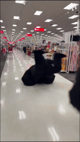 Gorilla Suit GIF by Chubsuit