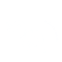 Art Illustration Sticker by Baby by beach
